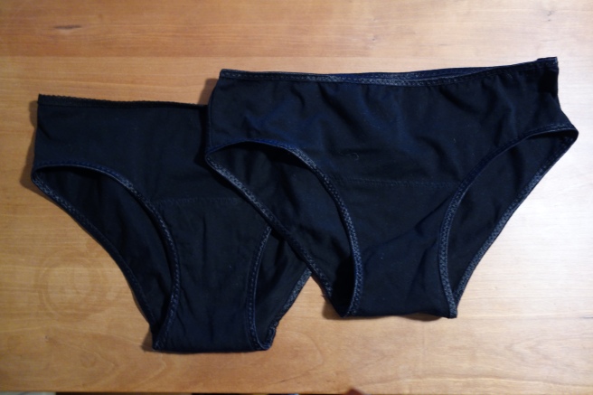 diy period underwear – Clara & Co.